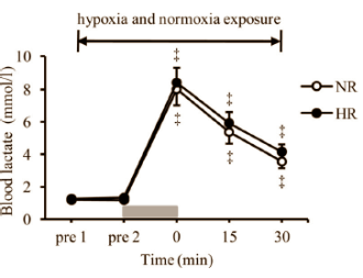 Higher growth hormone peak makes hypoxia-gym training more effective