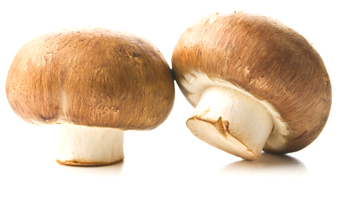 Are store-bought belly button mushrooms also insulin enhancers?