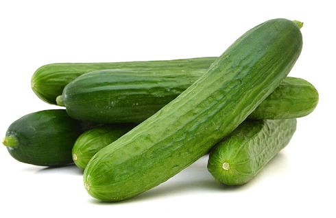 Cucumbers against cancer?