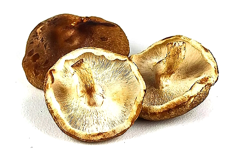 During a caloric overload, shiitake reduces the increase in body fat