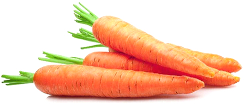 It really exists: carrot addiction