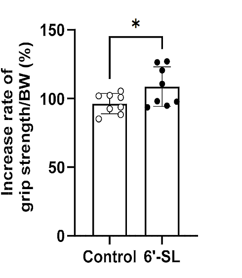 6-Sialyllactose | An anabolic sugar in milk
