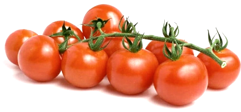 Meta-study determines the protective effect of lycopene against prostate cancer