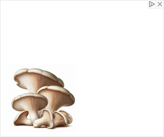 Mushrooms