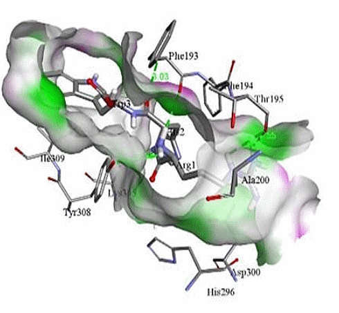 Arg-His-Trp | A tripeptide and a beta-2 agonist