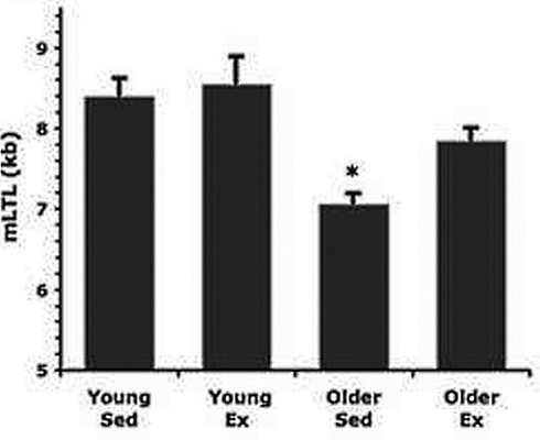 Raise your VO2max to delay ageing