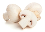 White button mushrooms: an immunological weapon with a safety catch