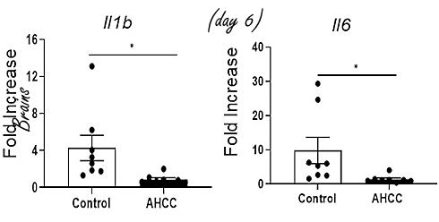 More resistant to SARS-CoV-2 after short AHCC cycle | Animal data