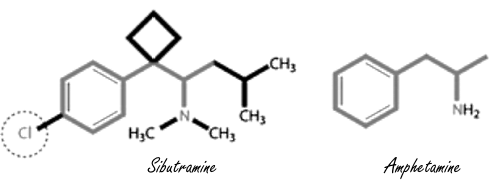 Weight loss with sibutramine goes faster when L-carnitine is added