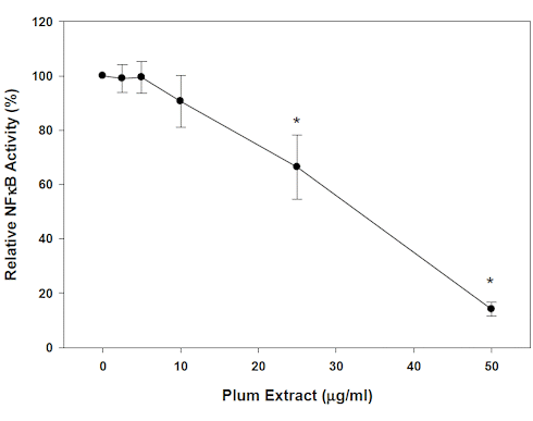 The unsuspected muscle-enhancing effect of plums