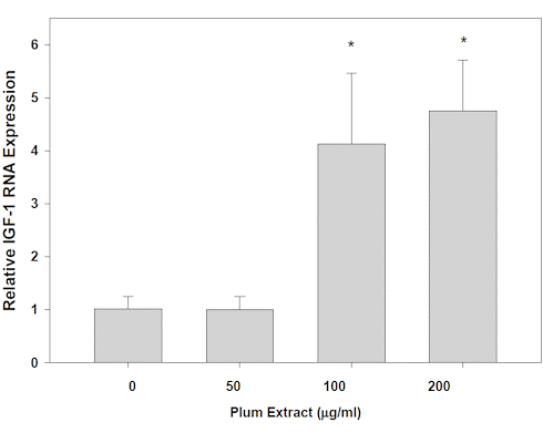 Plums contain substances that have an anabolic effect on and in bone tissue. Strange but true. According to an American in vitro study that appeared in 2019, these same substances may also have an anabolic effect in muscle cells.