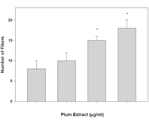 The unsuspected muscle-enhancing effect of plums