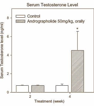 Andrographolide, the main active substance in the Asian plant Andrographis paniculata, boosts testosterone levels and improves sexual performance. Pharmacologists at Khon Kaen University draw this conclusion from tests they did on male mice.