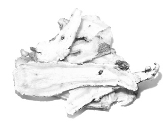Angelica sinensis boosts endurance capacity and muscle strength