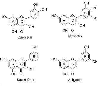 Apigenin, a natural anabolic compound in parsley