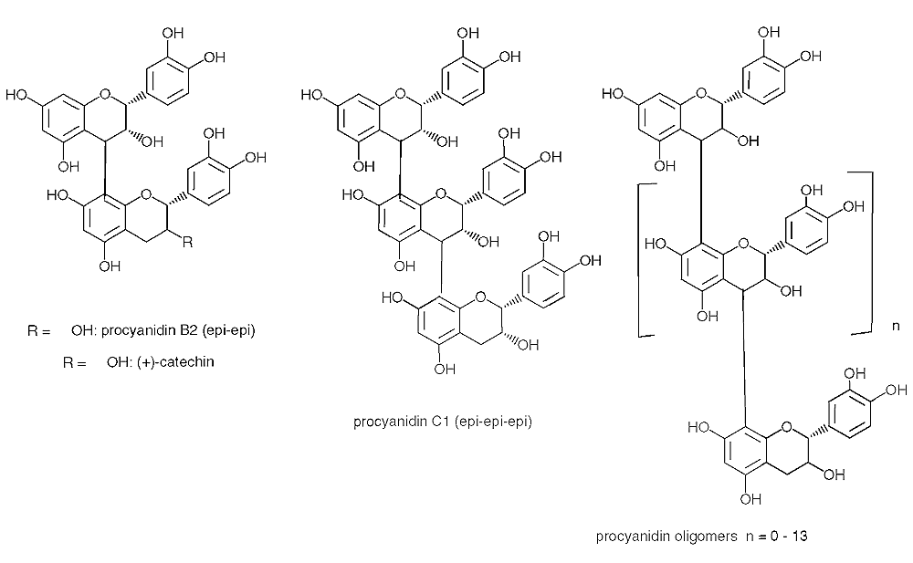 How OPCs boost antiviral defense