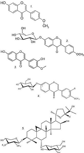 Flavonoids in Astragalus membranaceus