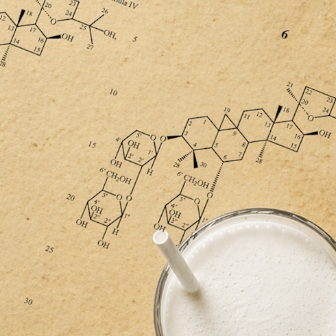 AstraGin makes whey a better dietary source of amino acids