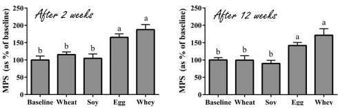 Animal study: plant-based proteins with bad amino acid profile make you fatter