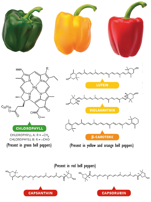 These substances in red bell peppers stimulate fat burning