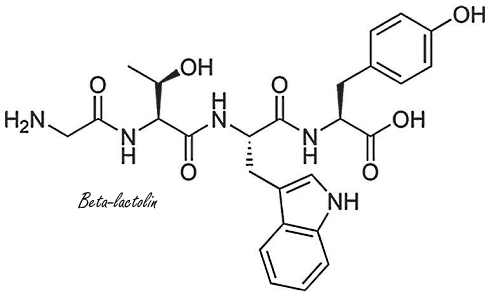 Beta-lactolin, the brain booster in camembert
