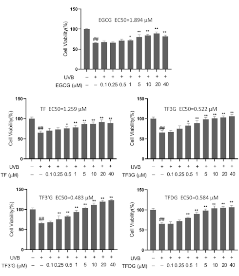 Black tea protects the skin against sunlight, inhibits skin aging | In vitro study