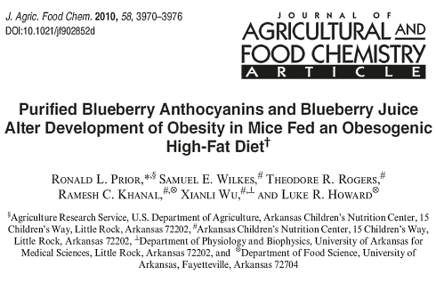 Anthocyanins in blueberries: more muscle and less fat