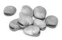 Reduction of prostate cancer risk by a few tablespoons of beans a day