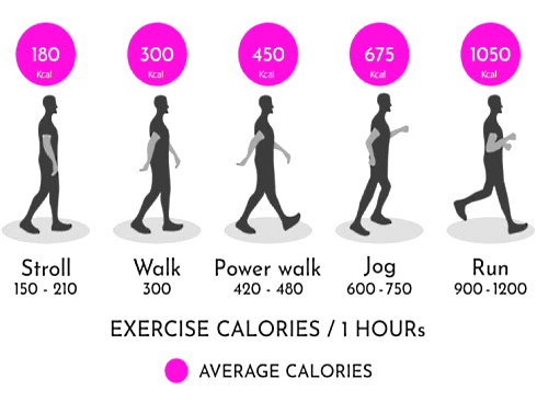 Burn more calories to increase your life span
