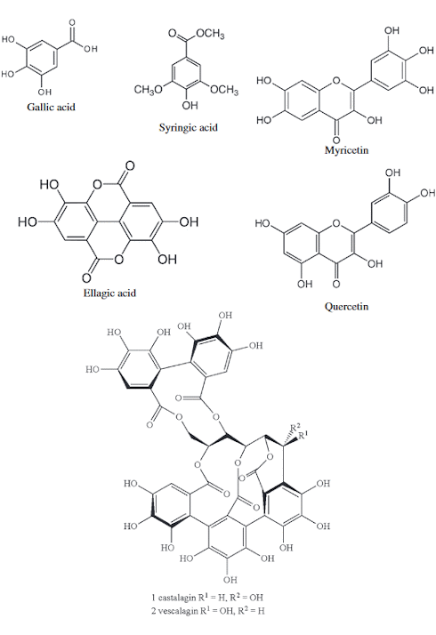 Is Camu-Camu a fat loss supplement?