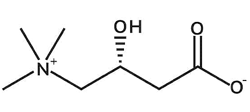 Combination of selenium and L-carnitine normalizes the overactive thyroid gland