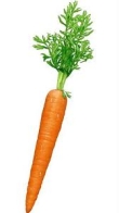 Every 10 g carrot reduces chance of prostate cancer by 5 percent