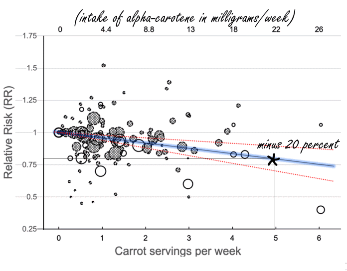 If you consume a small winter carrot every day, your risk of cancer is twenty percent lower than if you hardly ever eat carrots. This is suggested by a British meta-study published in Critical Reviews in Food Science and Nutrition.
