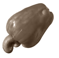 Endurance athletes who drink cashew-apple juice make better use of their carbs