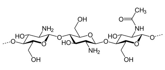 Concentration of microplastics in the body decreases due to chitosan supplementation