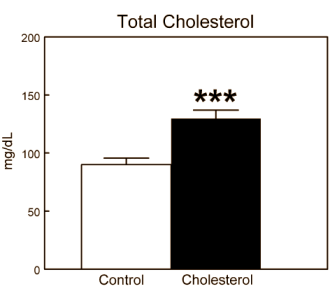 Too much cholesterol lowers testosterone level: animal study