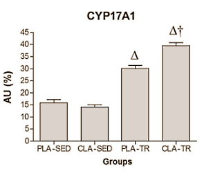 On the right, dear readers, is not a tangle of shavings produced by apprentice metal workers. You are looking at the spatial structure formula of the enzyme CYP17A1 – better known as 17alpha-hydroxlase or 17,20-lyase. It's this enzyme that makes CLA fatty acid supplementation boost testosterone levels, write biochemists from the University of Palermo in PloS One. When we read this we just had to let our readers know about it!
