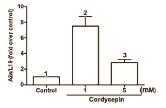 Got it! Active ingredient in cordyceps is cordycepin