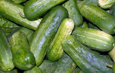 Supplementing with Q-actin, an extract from cucumbers, improves the function of worn and damaged joints. The main active ingredient in Q-actin is the iminosugar idoBR-1, which is also found in fresh cucumbers. Well... in some cucumbers.