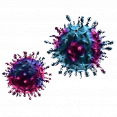 Do NO boosters inhibit the coronavirus?