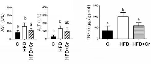 Creatine makes one fatty liver healthier - but not the other | Animal study