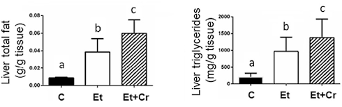 Creatine makes one fatty liver healthier - but not the other | Animal study