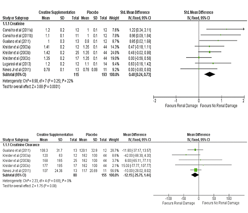 Creatine has no influence on kidney function, says meta-study