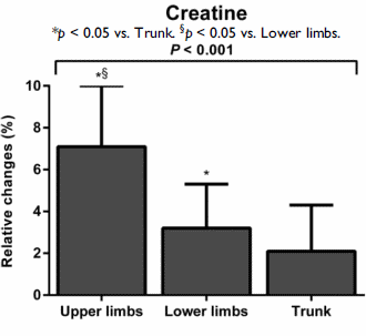 Creatine has more effect on upper body muscles than on lower body muscles