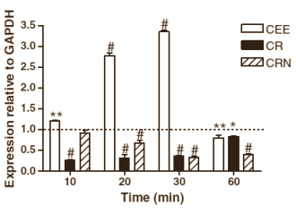 Cell study suggests creatine might weaken natural resistance