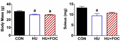 Combination of fish oil and curcumin activates anabolism in inactive muscles