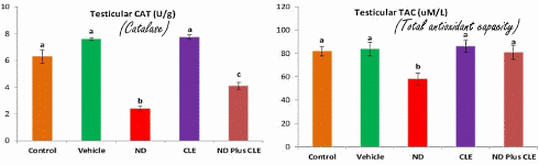 Artichoke may protect testes against anabolic steroids