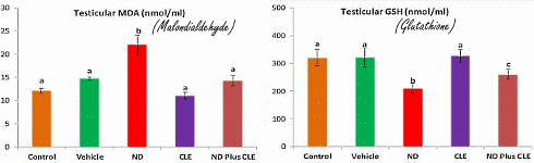 Artichoke may protect testes against anabolic steroids