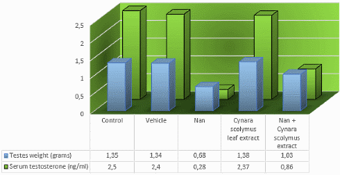 Artichoke may protect testes against anabolic steroids