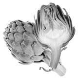 Artichoke may protect testes against anabolic steroids